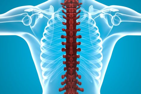 spinal cord bioeden